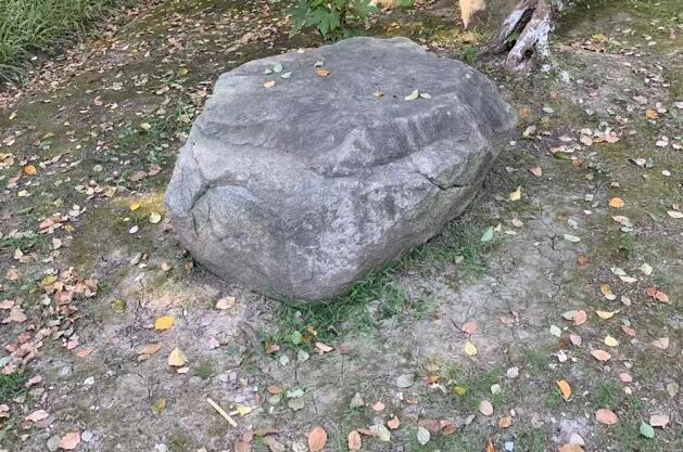 ���ߎX������Щ�xʽʯ�����P�P�������ߎX�xʽʯ