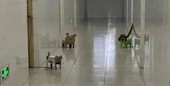 ���й��L(f��ng)���Ї���У,���й���ʲô����