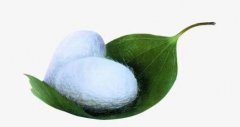 �Q�������˳�ɣ�~߀�ܳ�ʲô�����W(xu��)���R����Ҋ�̈́e�]У�L