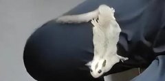 ���F���F������ς��˿�,�۴�����ʲô�����h�B