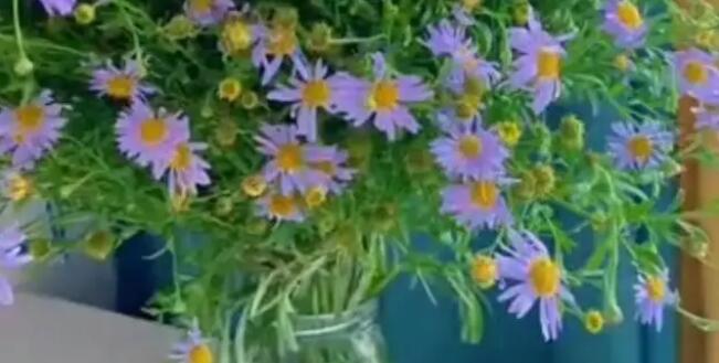 �ɷ��ݚw����һ���Ұ��������