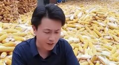 網紅秀才曾發火怪粉絲不刷禮物,那些被秀才圈粉的中老年女性