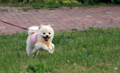 Ů�ӾͲ͹������ՆT�Ź����g����,���דƐ������ﹷ